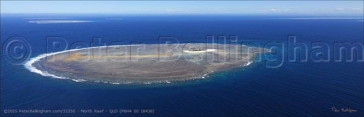 Peter Bellingham Photography North Reef - QLD (PBH4 00 18438)